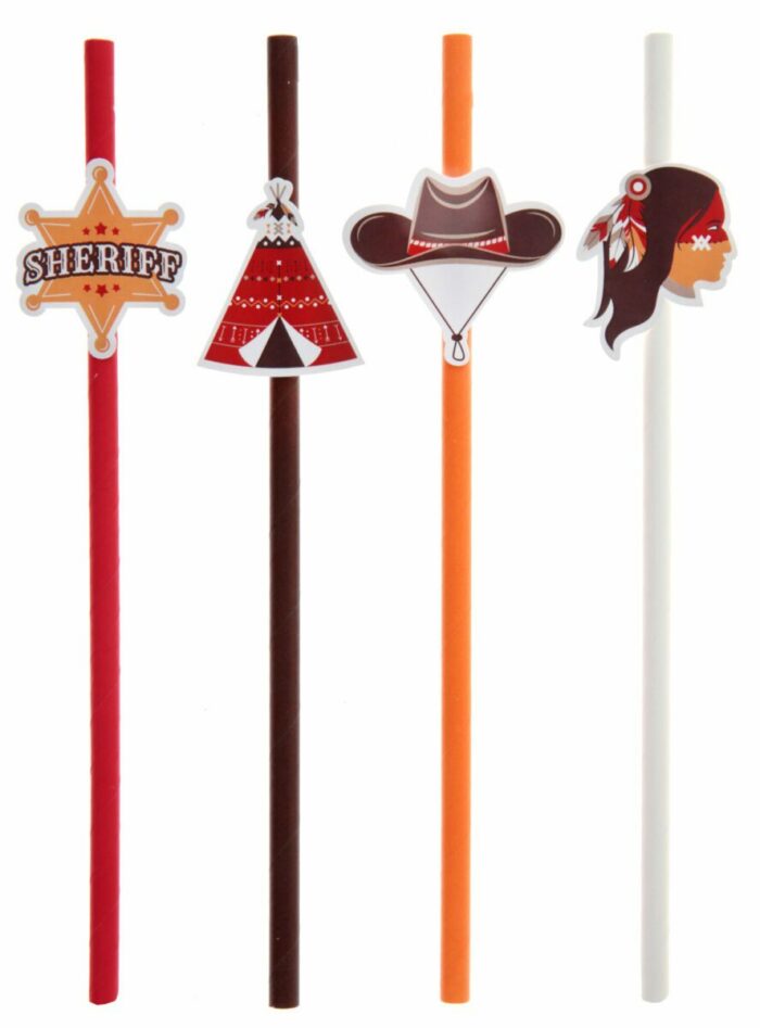PAILLE INDIEN COWBOY PAR 8 – Image 2