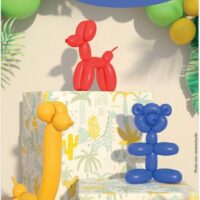 LOT DE 25 BALLONS A MODELER – Image 2
