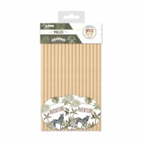 PACK 18 PAILLES EXPLORATEUR
