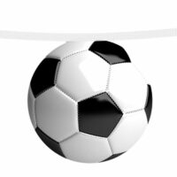 GUIRLANDE PAPIER 15 FANIONS 5M BALLONS FOOT DIAM 19CM – Image 2