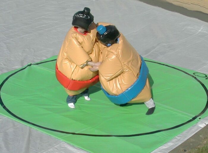 Location jeu du sumo